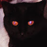 xeno-